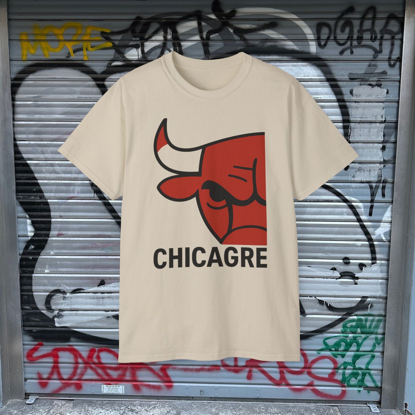 CHICAGRE BULLS CLEAR