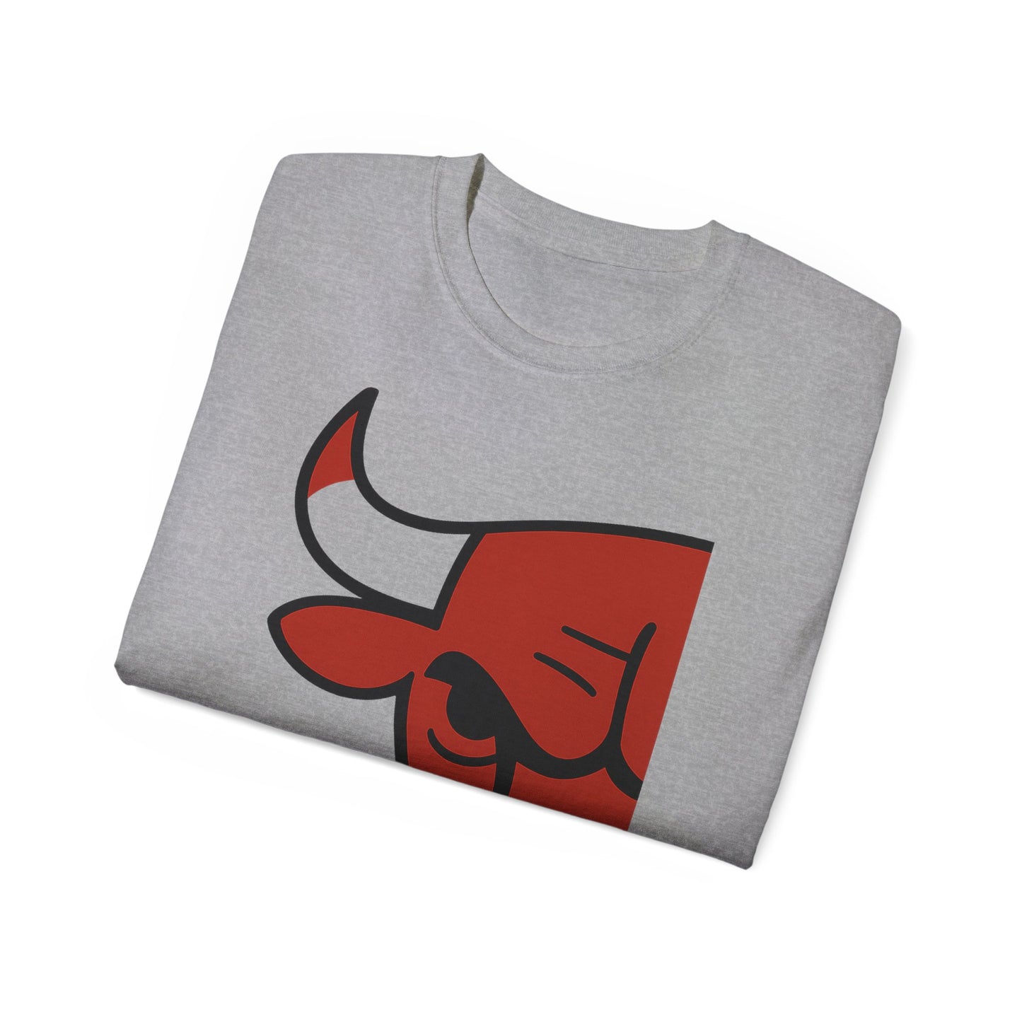 CHICAGRE BULLS CLEAR