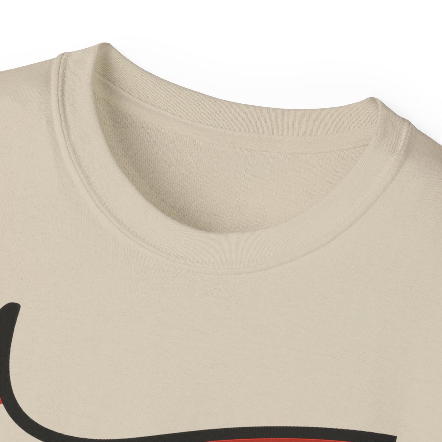 CHICAGRE BULLS CLEAR