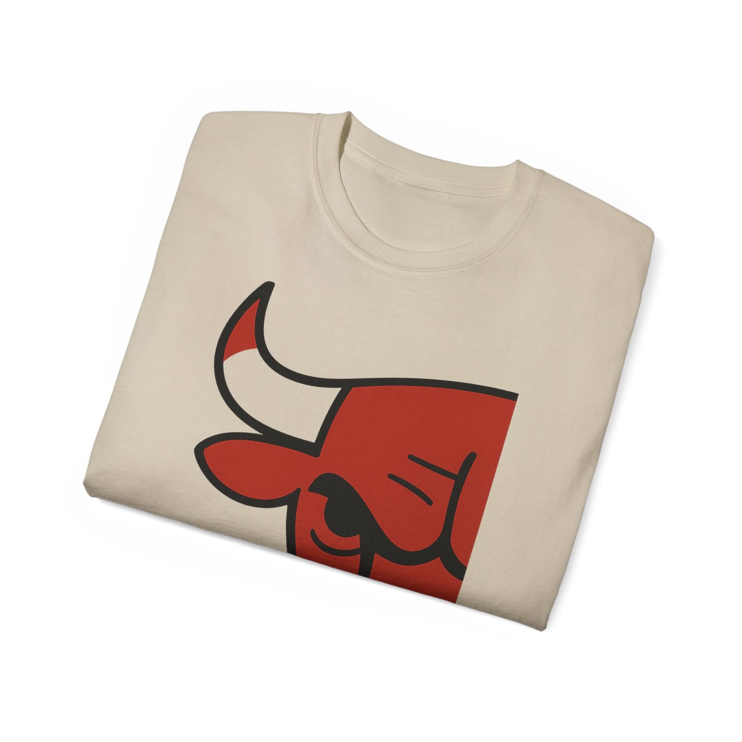 CHICAGRE BULLS CLEAR