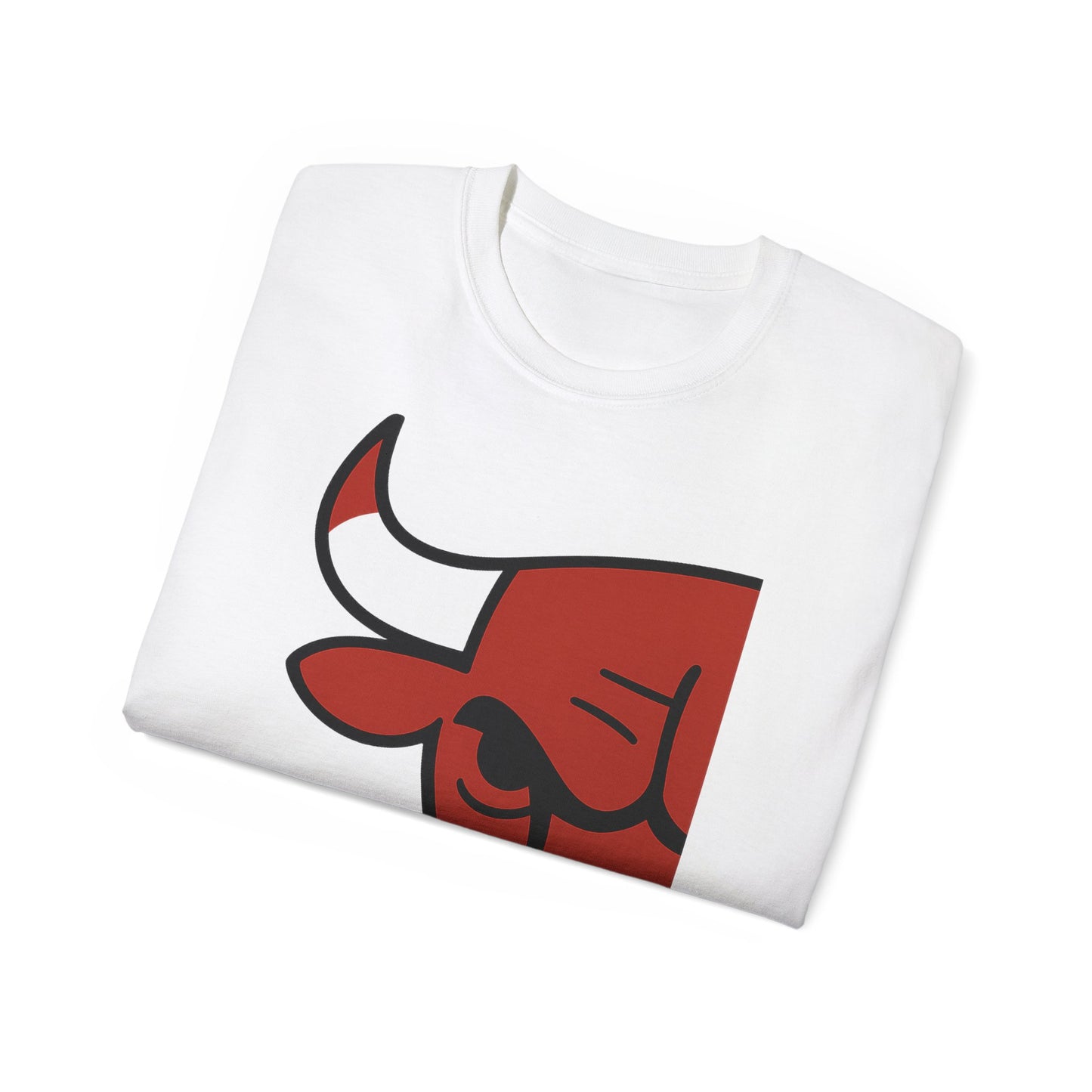 CHICAGRE BULLS CLEAR