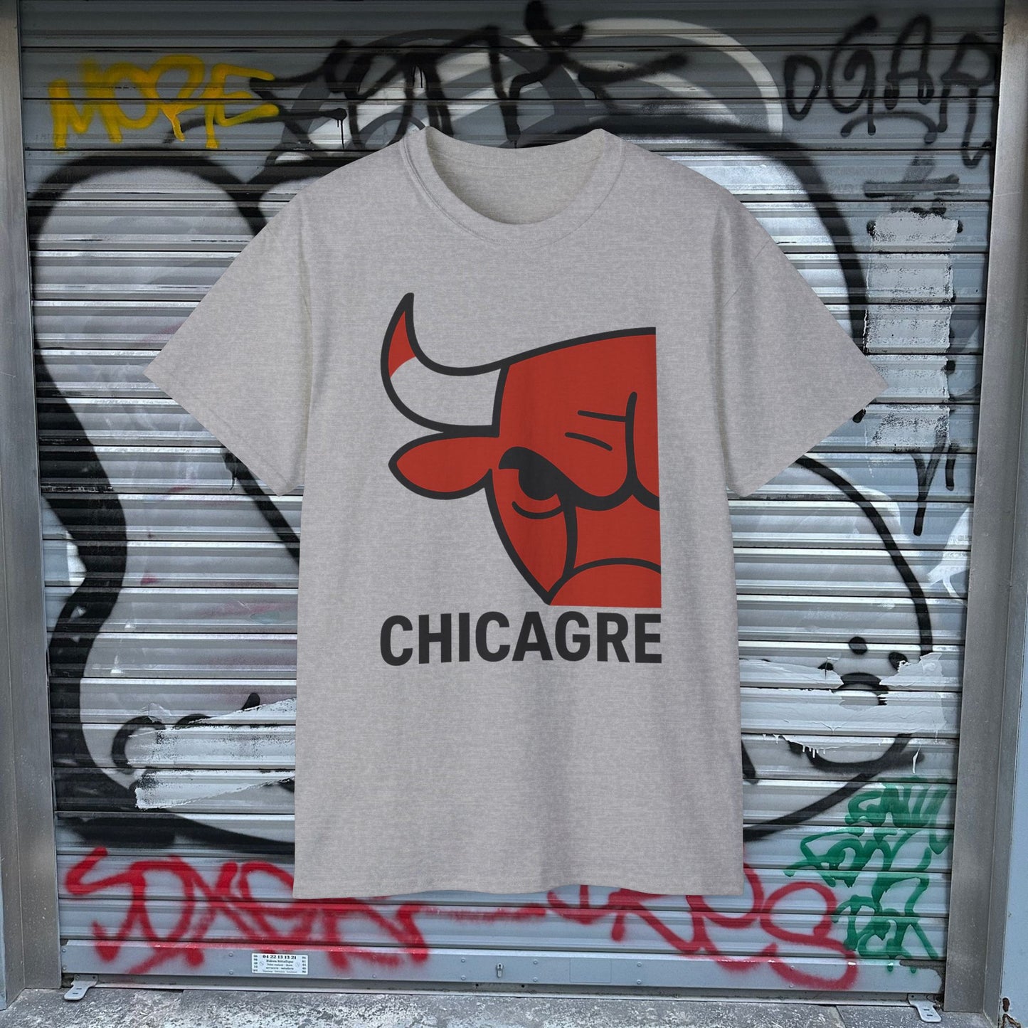 CHICAGRE BULLS CLEAR